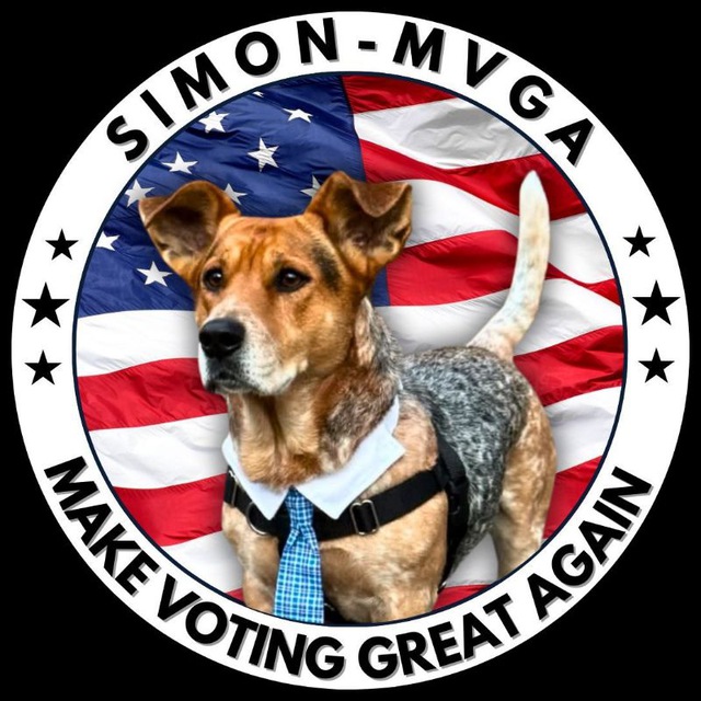 SIMON